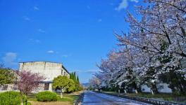 海螺宁国水泥厂环境优美吸引新人拍摄婚纱