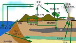全球水泥材料碳化的碳吸收研究取得重大进展