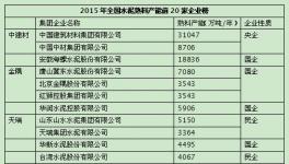国进民退 造就国企水泥龙头