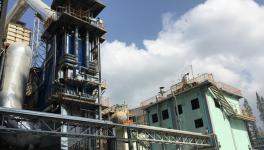 中材节能总承包的首个生物质发电项目通过验收