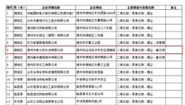 德州中联大坝水泥2017年或将被重点监控