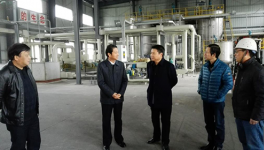 区委书记深入华新水泥调研节后开工复产情况