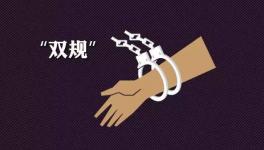 涉嫌违规审批湘发改委官员被查 曾染指东安红狮批建