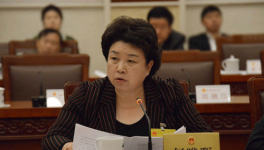 两会时间 何晔晖代表谈发展实体经济要把老板留住