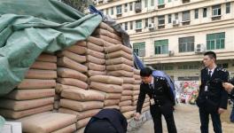 315打假：深圳百余吨假水泥被依法查扣