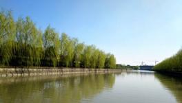 南方水泥海河联运一期项目8月将正式投产