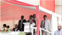 中材国际津巴布韦最大水泥厂竣工 总统出席并讲话