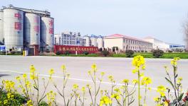 安徽海螺业绩向好 今年丰收在望