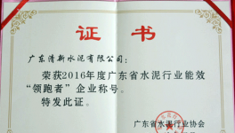 清新海螺获得水泥行业能效“领跑者”企业