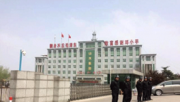 山水水泥：总部高级别安保严防死守 风波远未平息