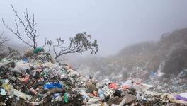 垃圾分类从鼓励到强制 “中国式”垃圾处理