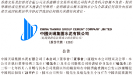 天瑞水泥两董事在济南被公安扣留 涉触犯中国刑法