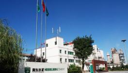 南非林波波省塔巴兹姆比市的中国地标曼巴水泥厂