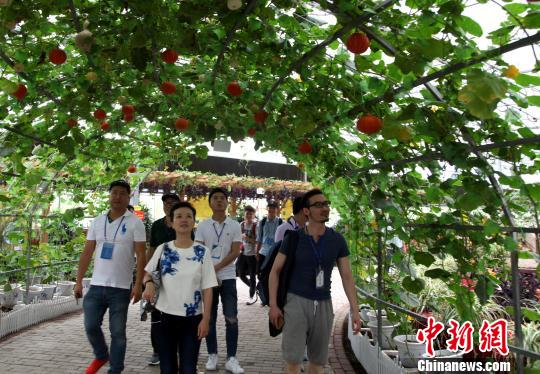 图为海外媒体记者参观玉林“五彩田园”现代特色农业示范区。　杨志雄 摄