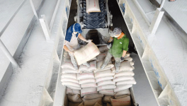 国内稳、大陆增水泥业成长乐观