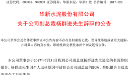 华新水泥副总裁杨群进辞职 曾任拉法基瑞安中国区CFO