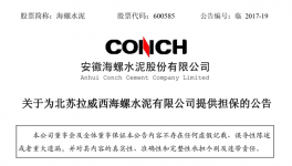 海螺水泥为北苏海螺银行贷款提供担保 担保金额9000万美元