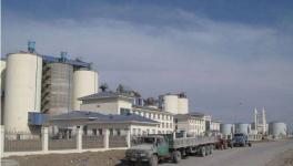 这个地区12户水泥企业20条生产线即日起停窑150天（附名单）