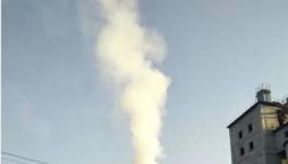 政府辟谣：这家水泥厂冒的是“气”不是“烟”