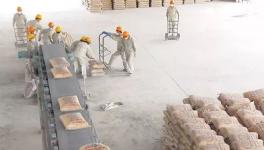 行情 | 2018年初越南水泥出口呈暴涨态势