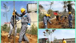 植树 | 第四十个植树节 水泥人植树忙