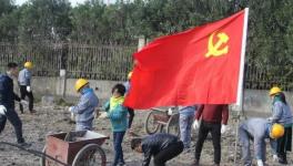 宁波海螺水泥公司党员突击队 “造绿色厂区，建美丽企业”