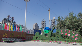 天业水泥产业水泥销售开局喜人