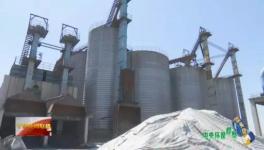 这家企业污染严重却打着环保“大旗”生产水泥