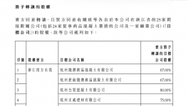 中国建材出售25家附属公司