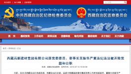 大搞权钱色交易!私分国有资产!这家水泥集团原董事长被双开!