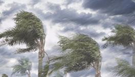 今后只有国企和外企有生存空间