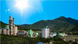 见过了花园水泥厂 您可见过