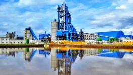 央视、人民日报一起为这家水泥厂点赞