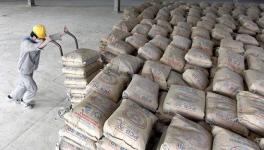 越南水泥出口增幅过半 中国市场出口量是去年的90倍