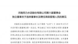 人事变动! 朱红兵当选同力水泥第六届董事会董事长