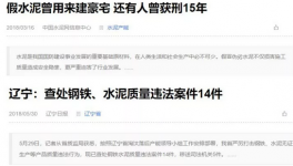 水泥企业中的真假“李逵”让人质疑