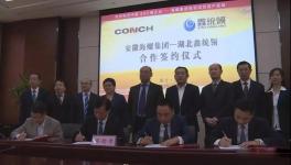 海螺水泥与水泥外加剂行业的“隐形冠军”强强联合