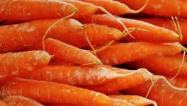 混凝土抗压强度不够？加点胡萝卜！