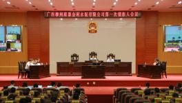 柳州金利水泥公司演绎凤凰涅槃神话