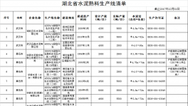 湖北省水泥熟料生产线清单