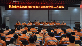 赞皇金隅公司召开第三届职代会第二次会议