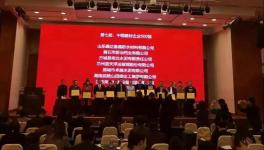 曲寨水泥荣获中国建材企业500强企业