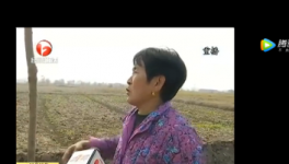 该地区农田整治被揭搞豆腐渣工程，混凝土一捏粉粉碎！