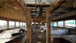 普吉海难沉船 船底竟然有3吨违规配重水泥