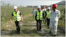 专家对上思县华润水泥有限公司绿色矿山创建工作进行验收考核