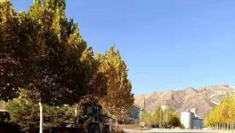 这家官司缠身的水泥企业或已被中联水泥接手！