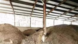 顶格处罚:混凝土公司违规作业 检查时突然断电