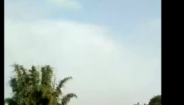 没货了!预约买水泥!水泥价格将向1000元/吨发起冲锋!