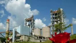 礼泉海螺4500t/d生产线被举报不执行错峰生产