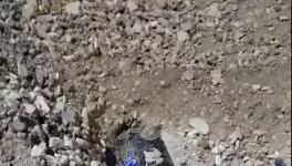 大货车闯红灯侧翻!小车瞬间被埋!致3人死亡！